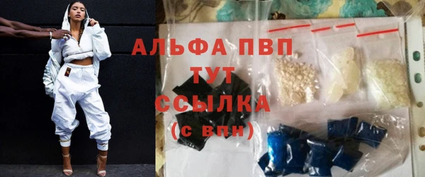 стаф Белоозёрский
