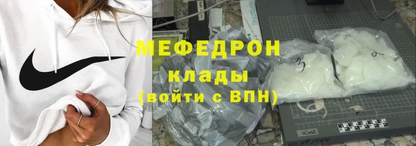 сатива Беломорск