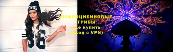 стаф Белоозёрский