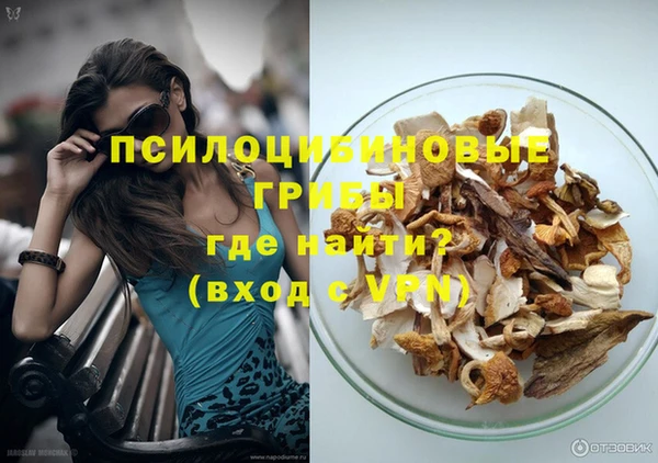 стаф Белоозёрский