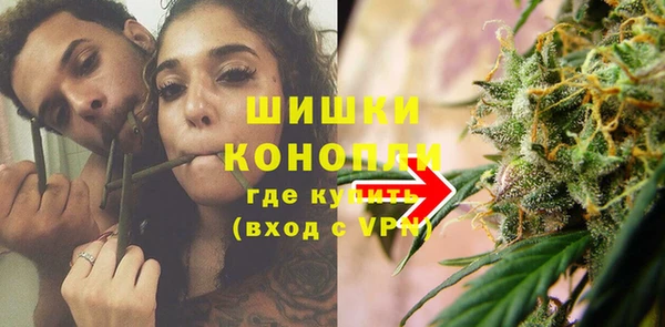 сатива Беломорск