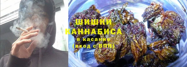 сатива Беломорск