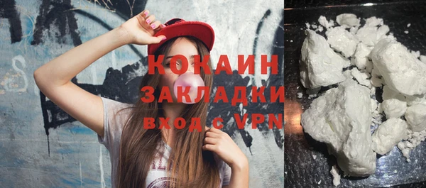 сатива Беломорск