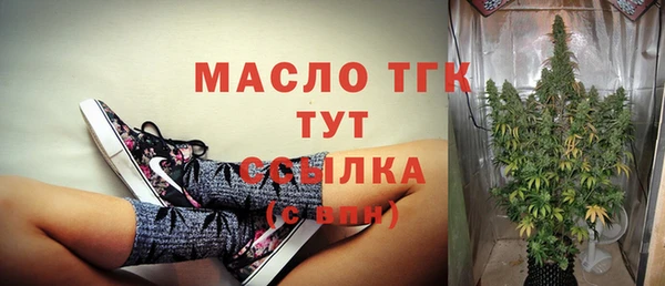 сатива Беломорск