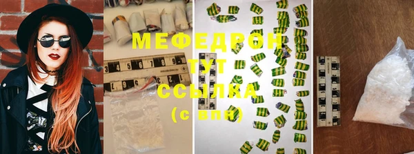 сатива Беломорск