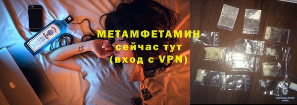 сатива Беломорск