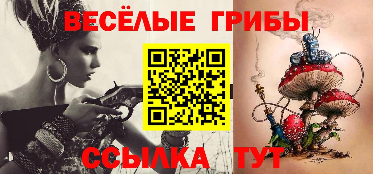 Галлюциногенные грибы Cubensis Буйнакск