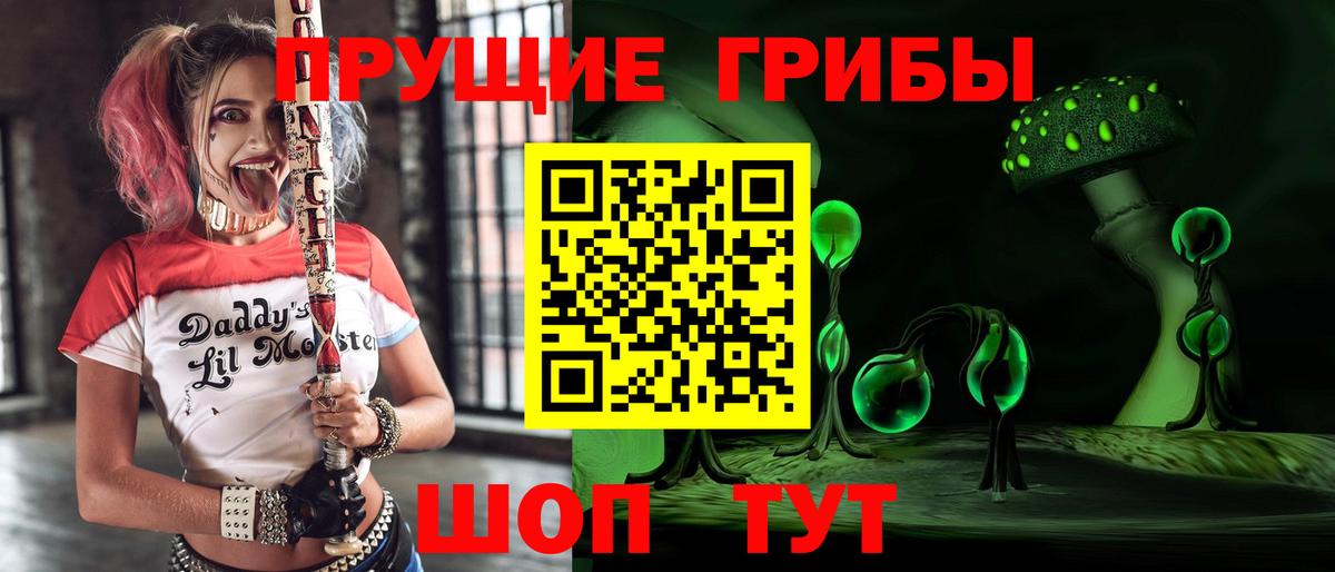 Галлюциногенные грибы Psilocybe  Галлюциногенные грибы прущие грибы  Вход с VPN  Буйнакск 